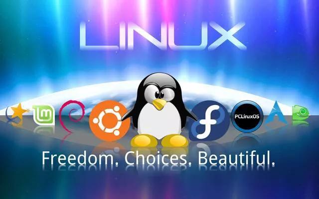 区别词_windows与linux的区别_区别英语