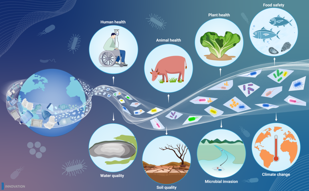 innovation ecosystem_innovation ecosystem_innovation ecosystem