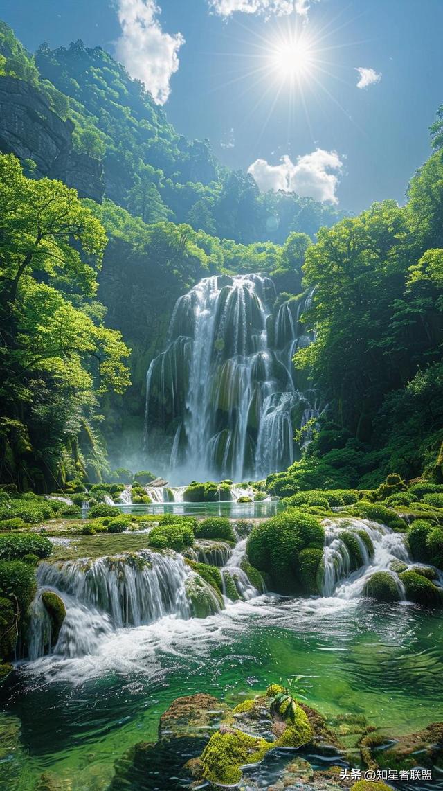 朝阳区中医医院挂号_朝阳中医院挂号预约挂号_朝阳中医挂号医院区号是多少