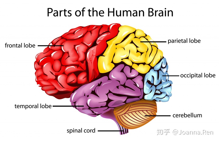 结构系统的功能_结构系统定义_android系统结构