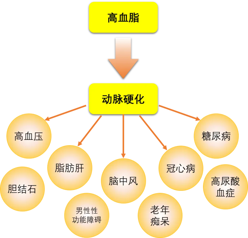 简述冠心病病人的护理措施_简述冠心病的护理措施_护理简述病人冠心病措施怎么写