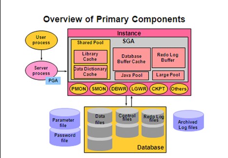 oracle 集群-Oracle 集群：高科技舞会般的数据安全与高效保障