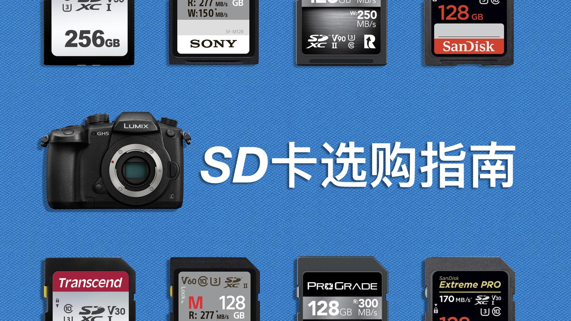 数码内存相机卡用什么格式_数码相机用什么内存卡_数码内存相机卡用什么卡槽