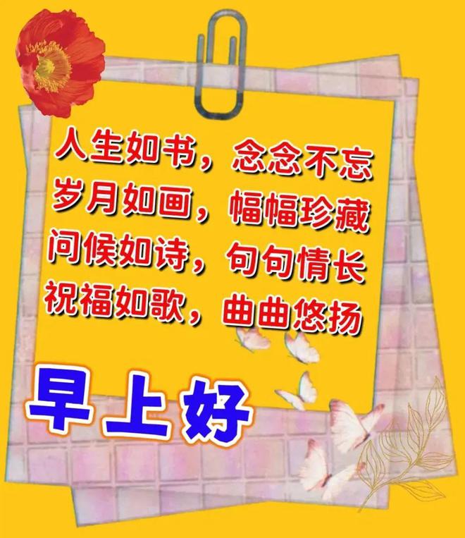 second copy 绿色-绿色——我的心情调色板，带来平静与安宁的生活态度