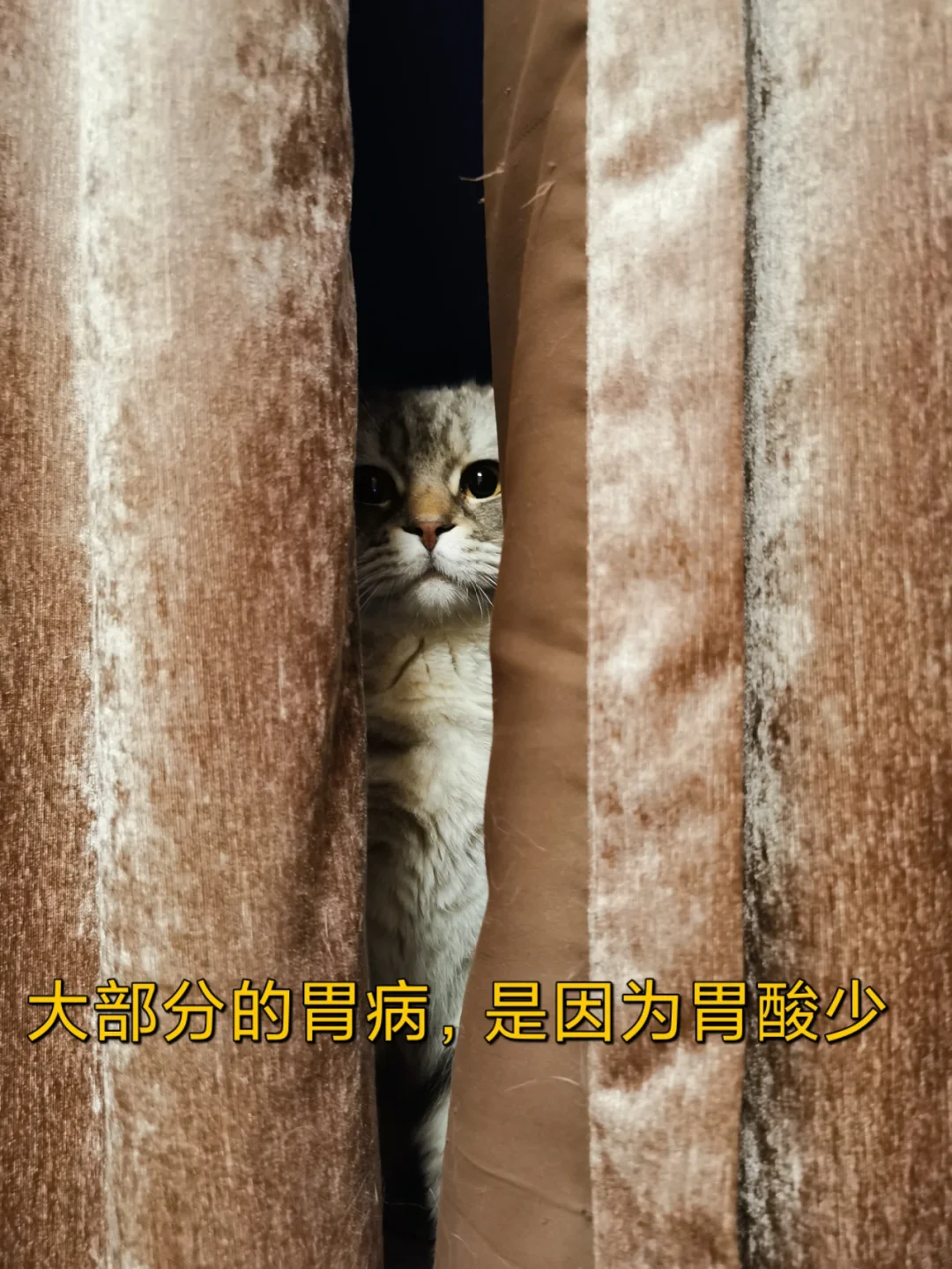 胃病病友论坛_胃病为什么久治不愈论坛_胃病吧胃病论坛