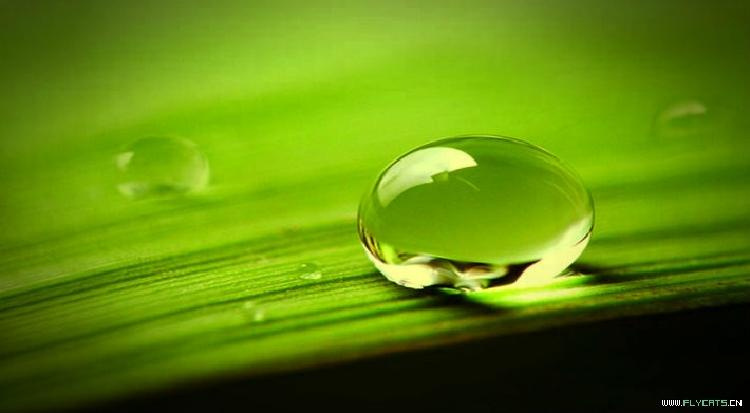 速录索恒速录_北京索恒速记学校_索恒速录机vs亚伟速录机