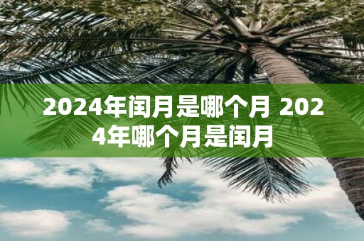 序列号免费查询官网入口_xp sp3 序列号 2024_序列号查询苹果官网