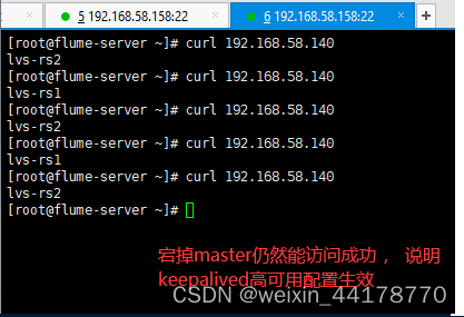 keepalived docker-探索 Keepalived 在 Docker 中的神奇之旅：IP