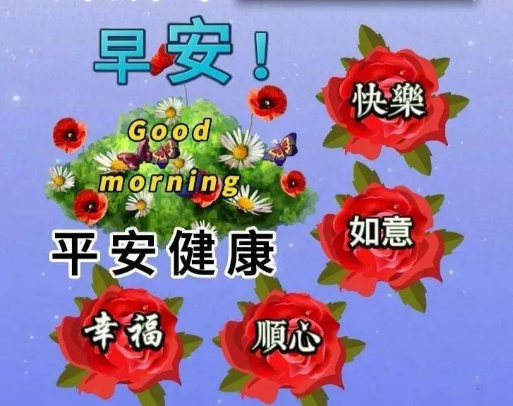 后安粉_后安粉_后安粉