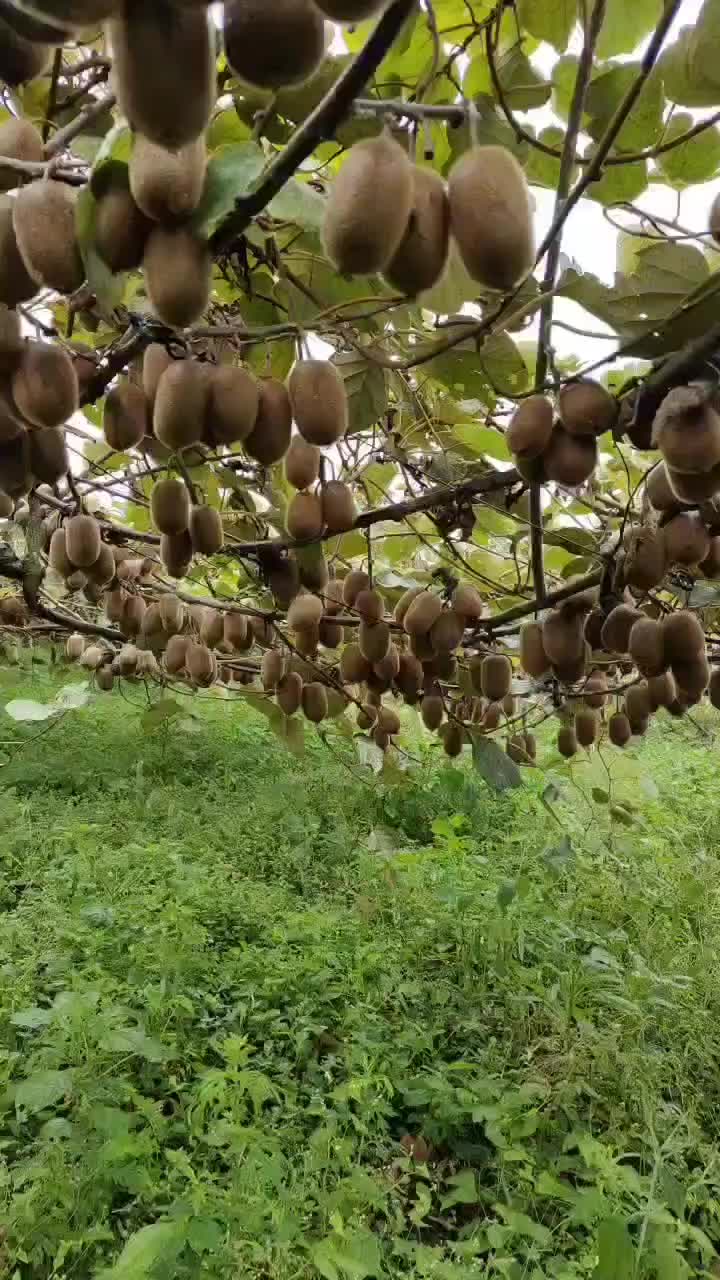 朝阳医院特需号：服务好但价格贵，值不值？
