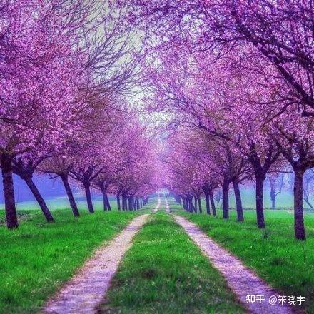 阑尾炎开刀后对身体有影响吗_阑尾炎开刀_阑尾炎开刀了