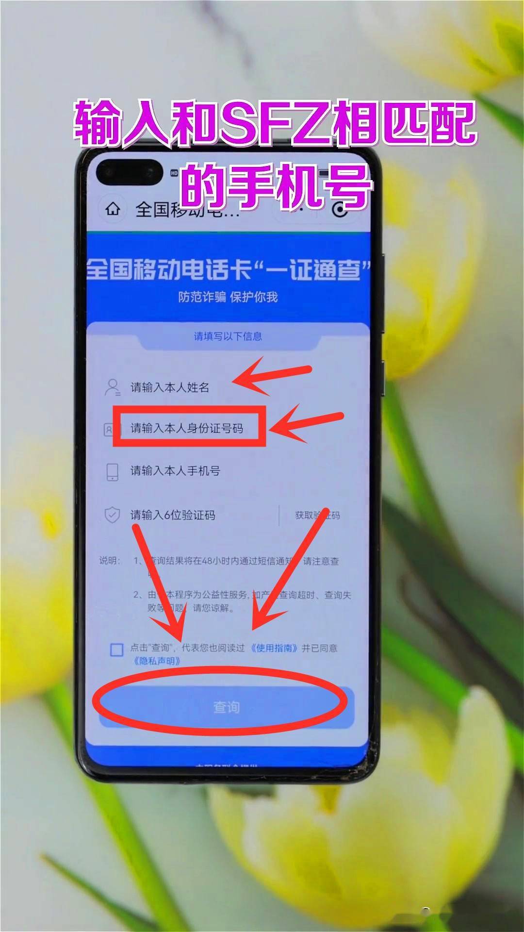 证件真假查询_网上怎么查身份证真假_网上查身份证真假查询