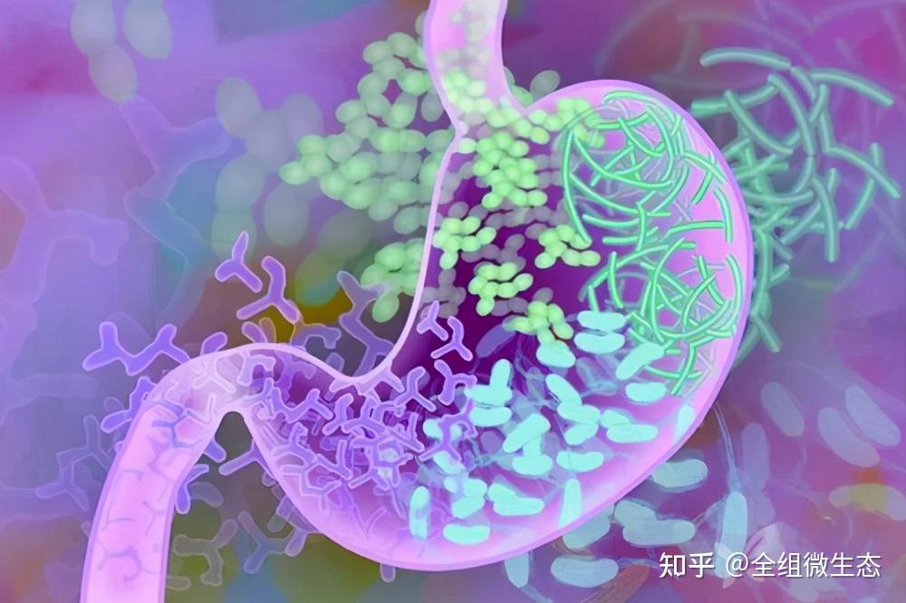 克罗恩病图-克罗恩病：让人头疼的顽固影子，如何与之和平共处？