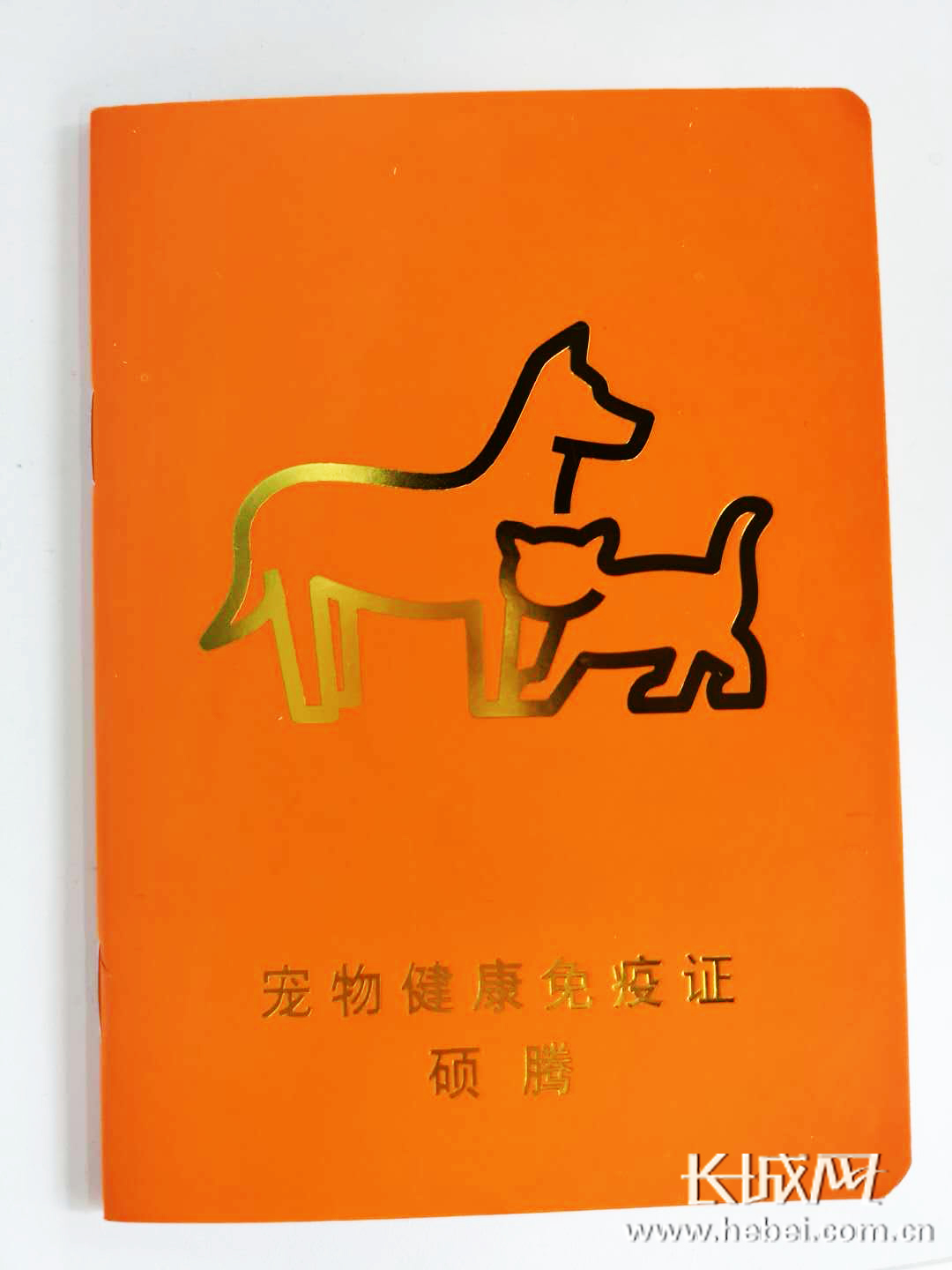 身份认证中的证书有什么_身份证书是什么_证书和身份证不符