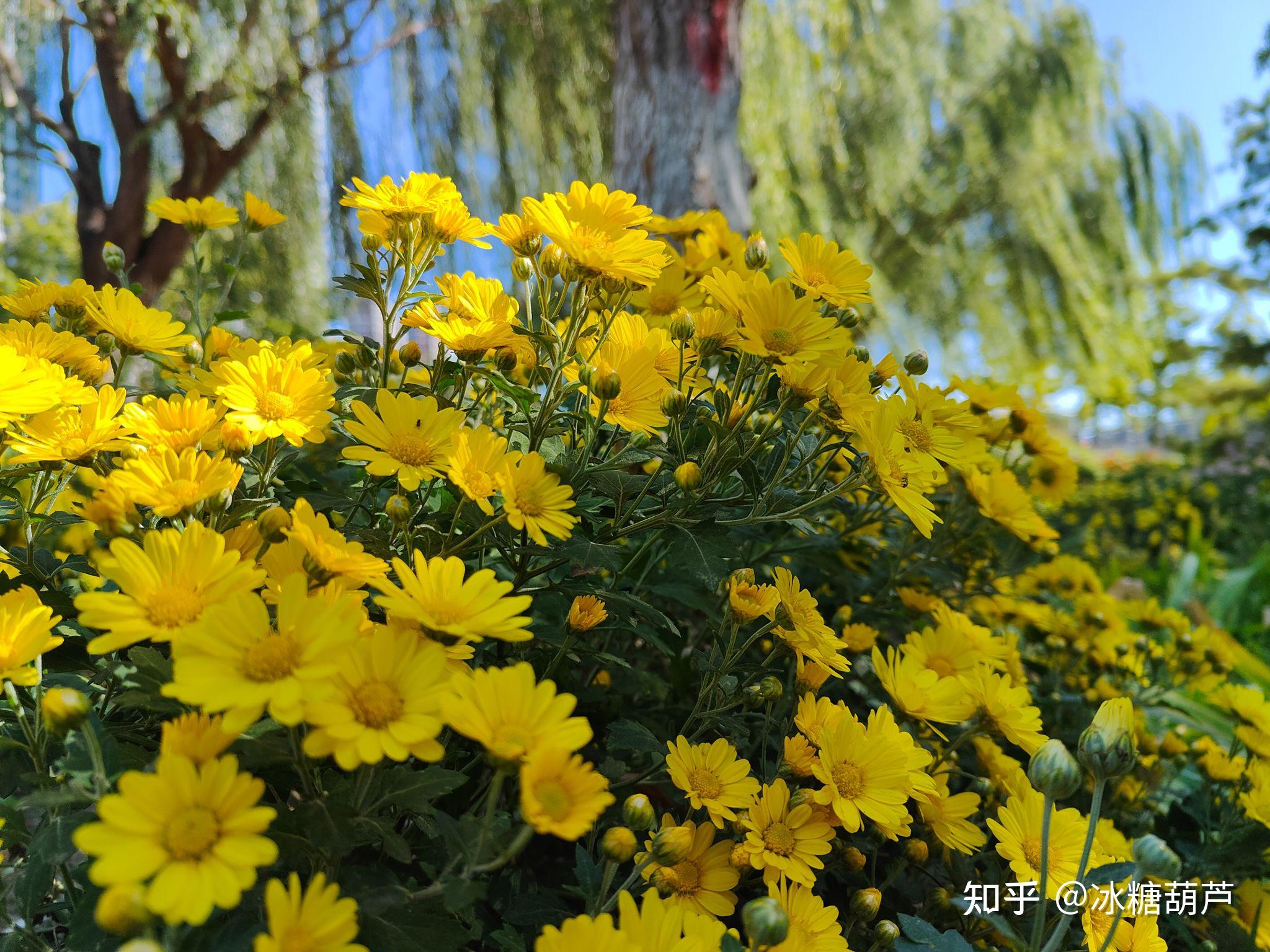 搭载高通710芯片手机_高通710百科_高通710处理器