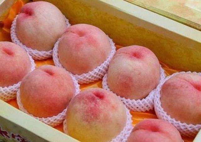 有胃病不能吃什么水果?_水果治胃病_胃病水果可以吃吗