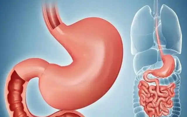 有胃病不能吃什么水果?_胃病水果可以吃吗_水果治胃病