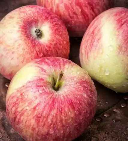 胃病水果可以吃吗_水果治胃病_有胃病不能吃什么水果?