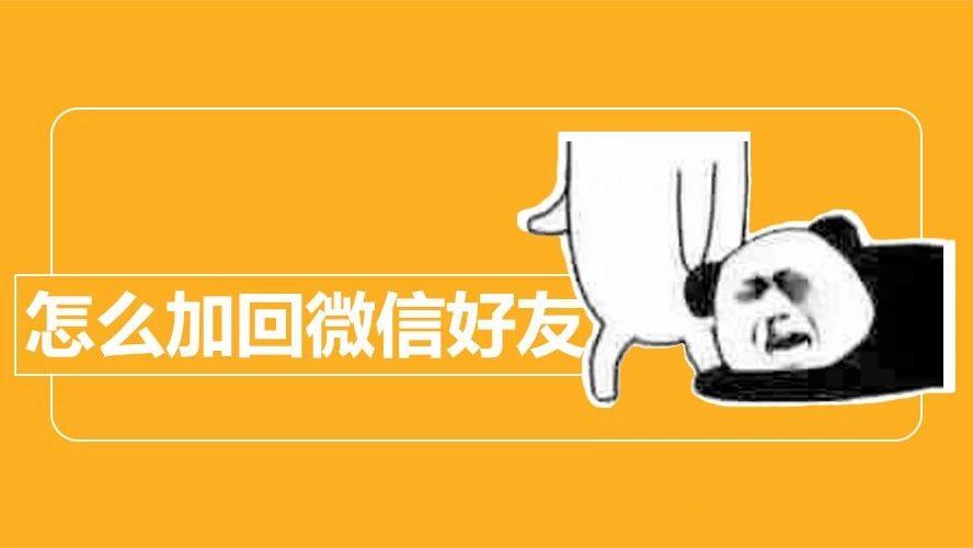 免费版手机微信恢复软件_免费的微信恢复软件_微信记录恢复免费软件