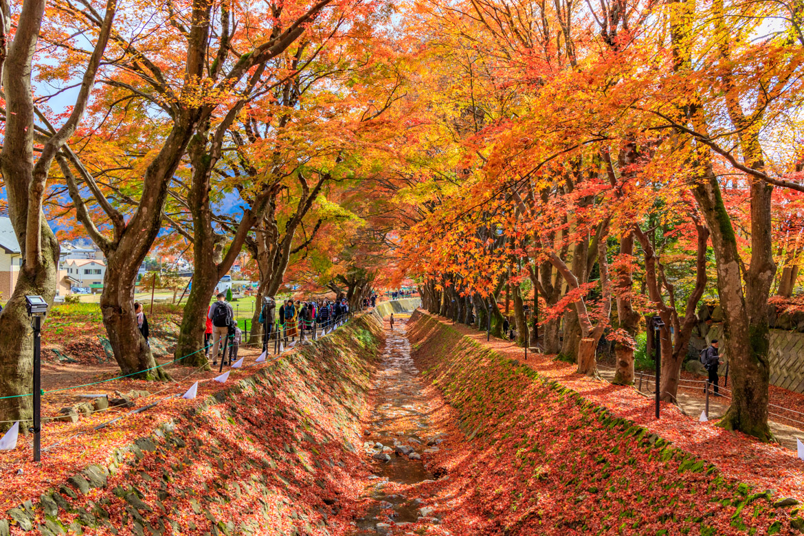 日本gps卫星_日本gps_日本gps定位