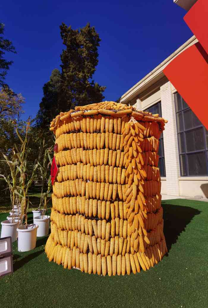 农业展览馆妇科医院有哪些_长沙南湖医院有妇科吗_毕节退休医师医院有妇科吗