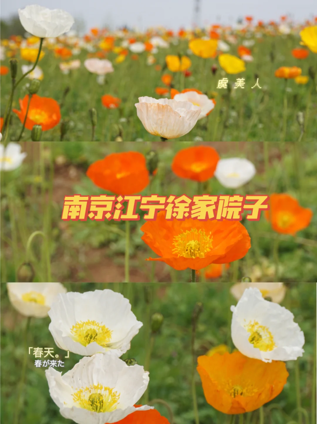 协警路边核查身份信息_路边核查身份协警信息是真的吗_路边核查身份协警信息是干嘛的