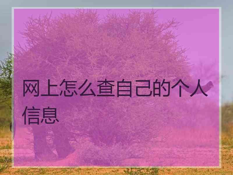 户口所在地网上能查吗_网上能查户口所在地吗_户籍所在地能查吗