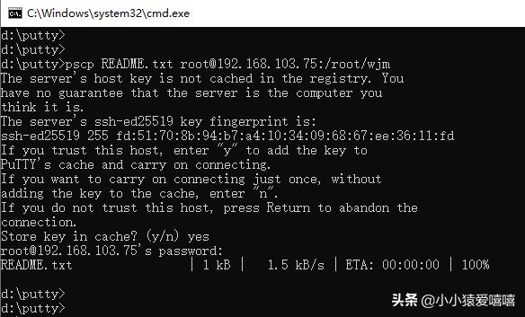 linux 只读文件系统_只读文件系统怎么改为正常_只读文件系统怎么取消只读