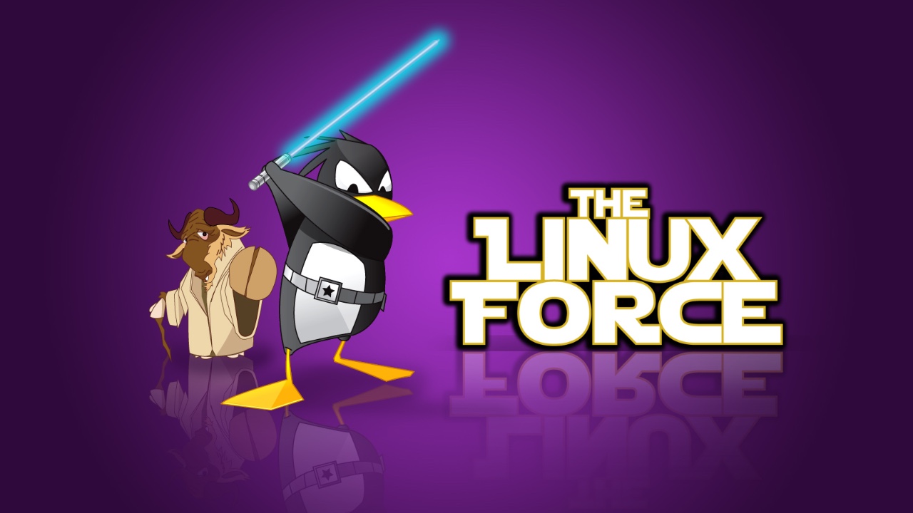 linux 命令路径_路径命令怎么用_linux查看jdk路径命令