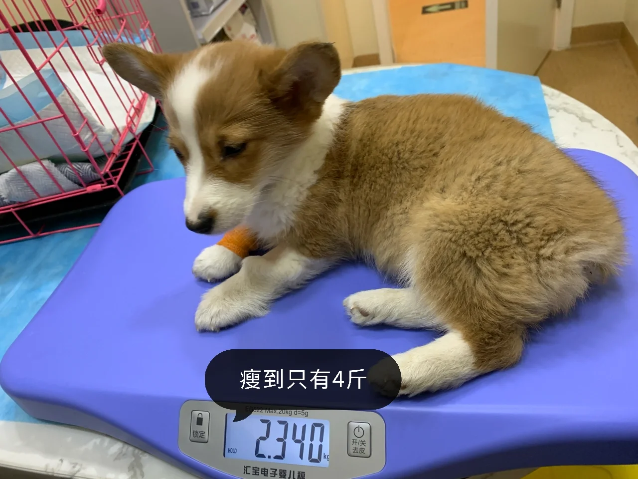 肺结核治愈后继发性_继发性肺结核会自愈吗_肺结核自愈性继发会传染吗