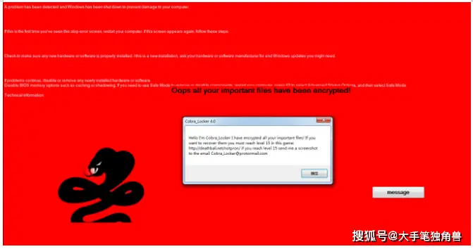 病毒的cRNA_decrypt病毒吧_decrypt