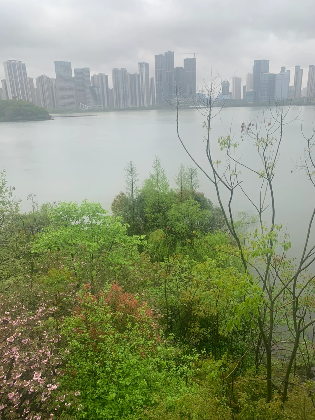 我的华为历史版本_华为游戏中心历史版本_华为app历史版本