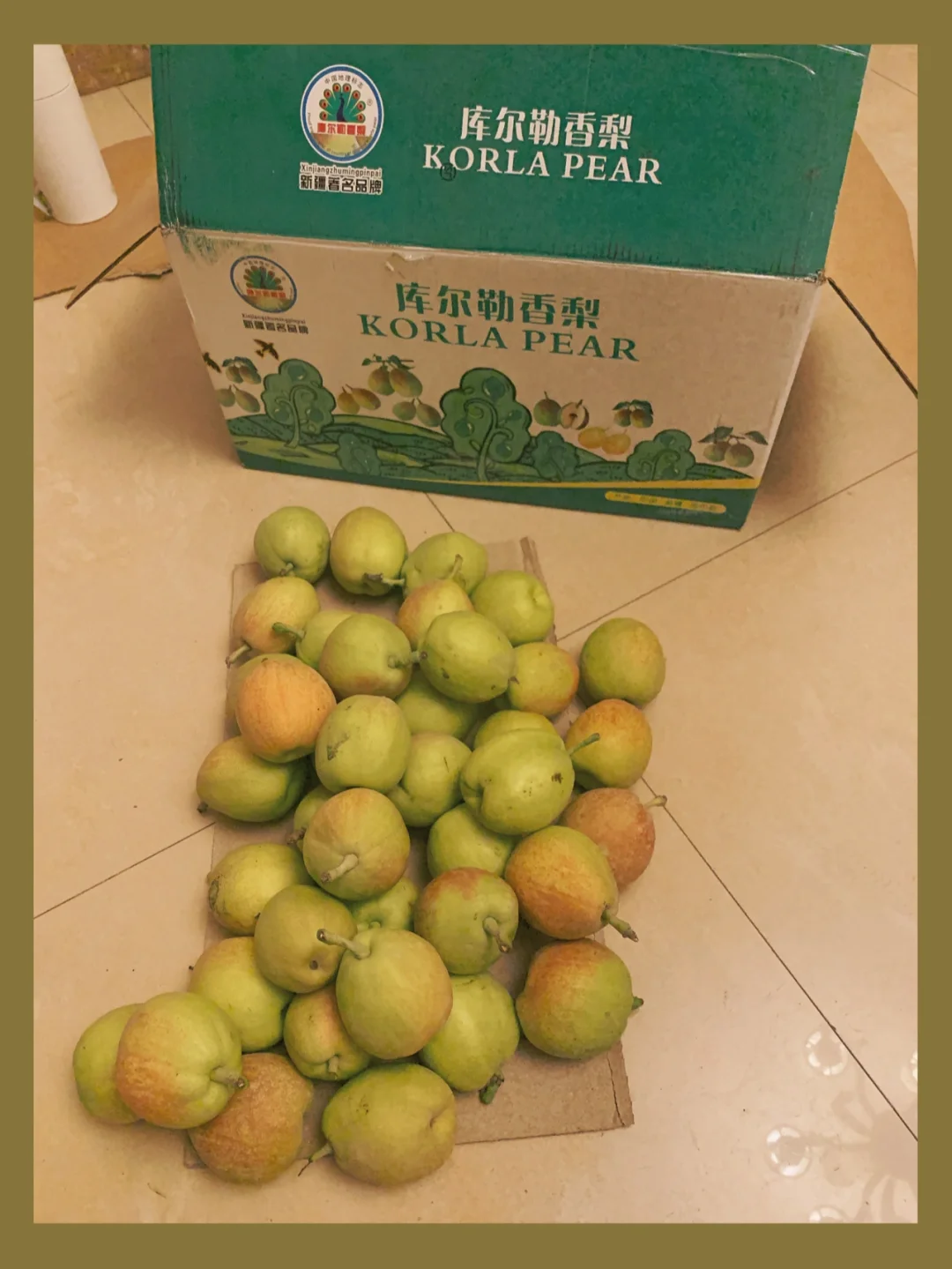 pear os 93_pear os 93_pear os 93
