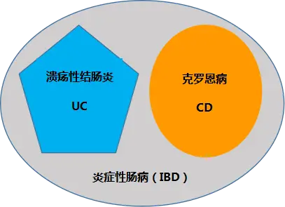 罗克罗恩病的特征性体征_克罗恩病都有哪些症状_罗克恩病早期症状