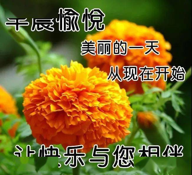 电脑清空回收站很慢_清空回收站速度慢_电脑清空回收站好慢