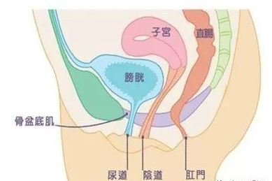 肛门失禁_肛门失禁_肛门失禁