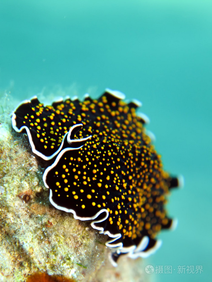 ci.dll下载_下载dll的网站_下载dll修复工具