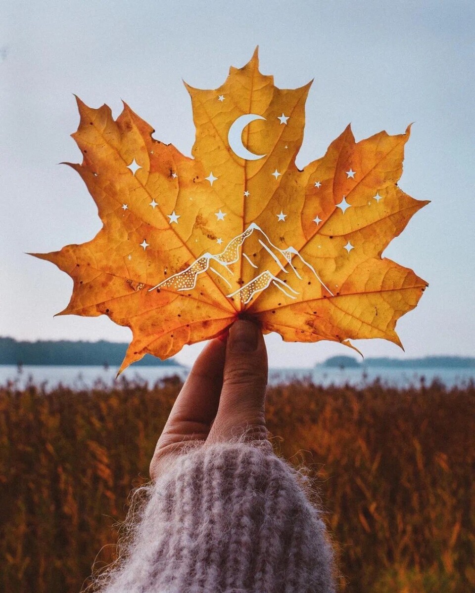 商丘朝阳医院皮肤科怎么样_商丘朝阳医院评价怎样_商丘市朝阳医院