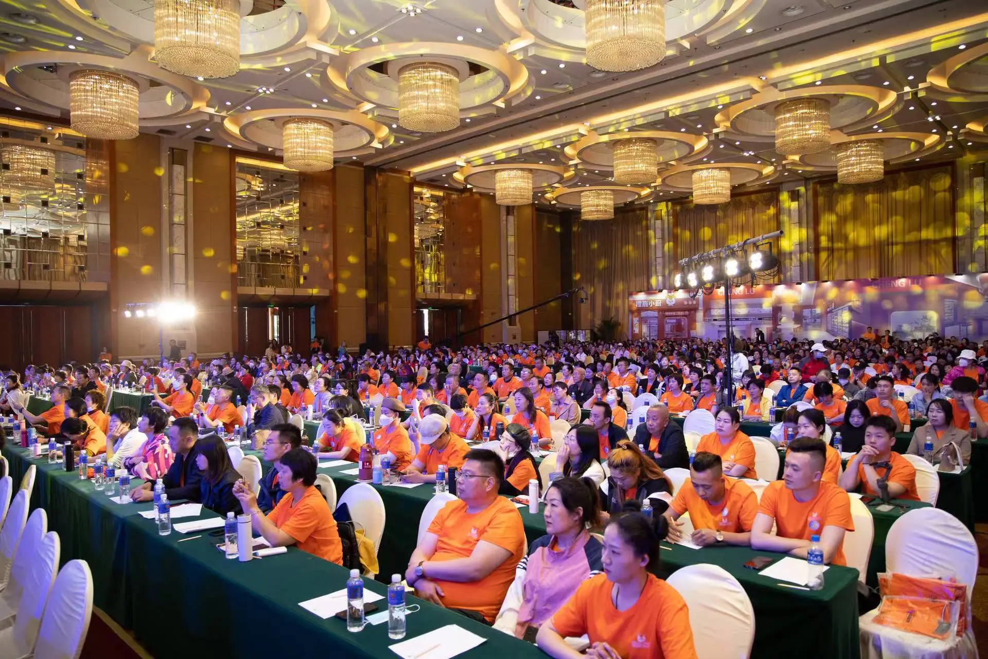 cmseasy升级_升级尝鲜_升级快的仙侠手游