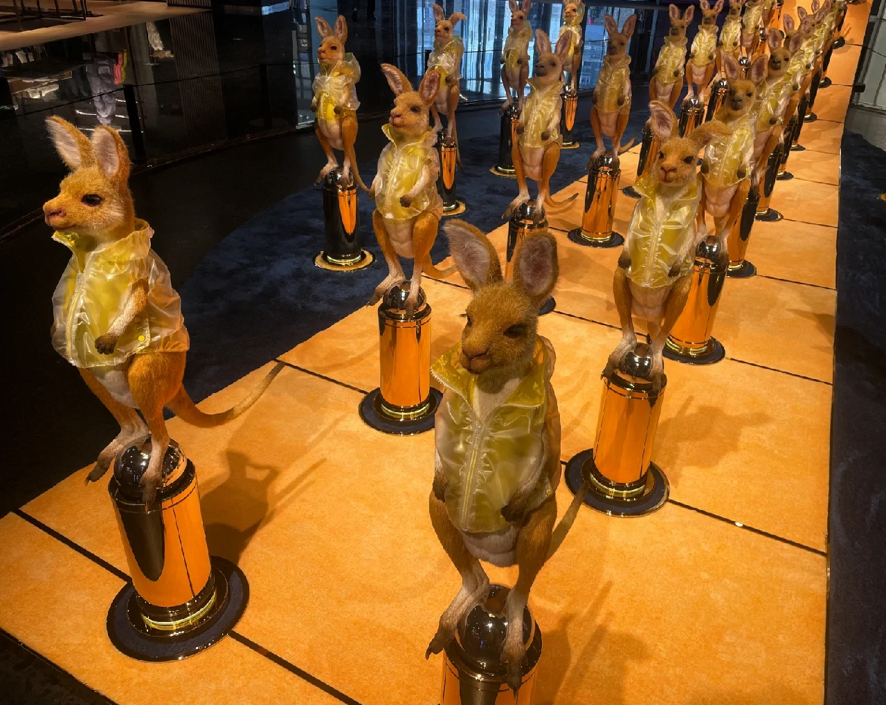 北京朝阳区大医院有哪些_朝阳医院大望路分院_北京朝阳区大屯医院