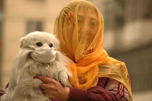 朝阳医院西医院电话_朝阳医院西区电话_朝阳西院区医院电话