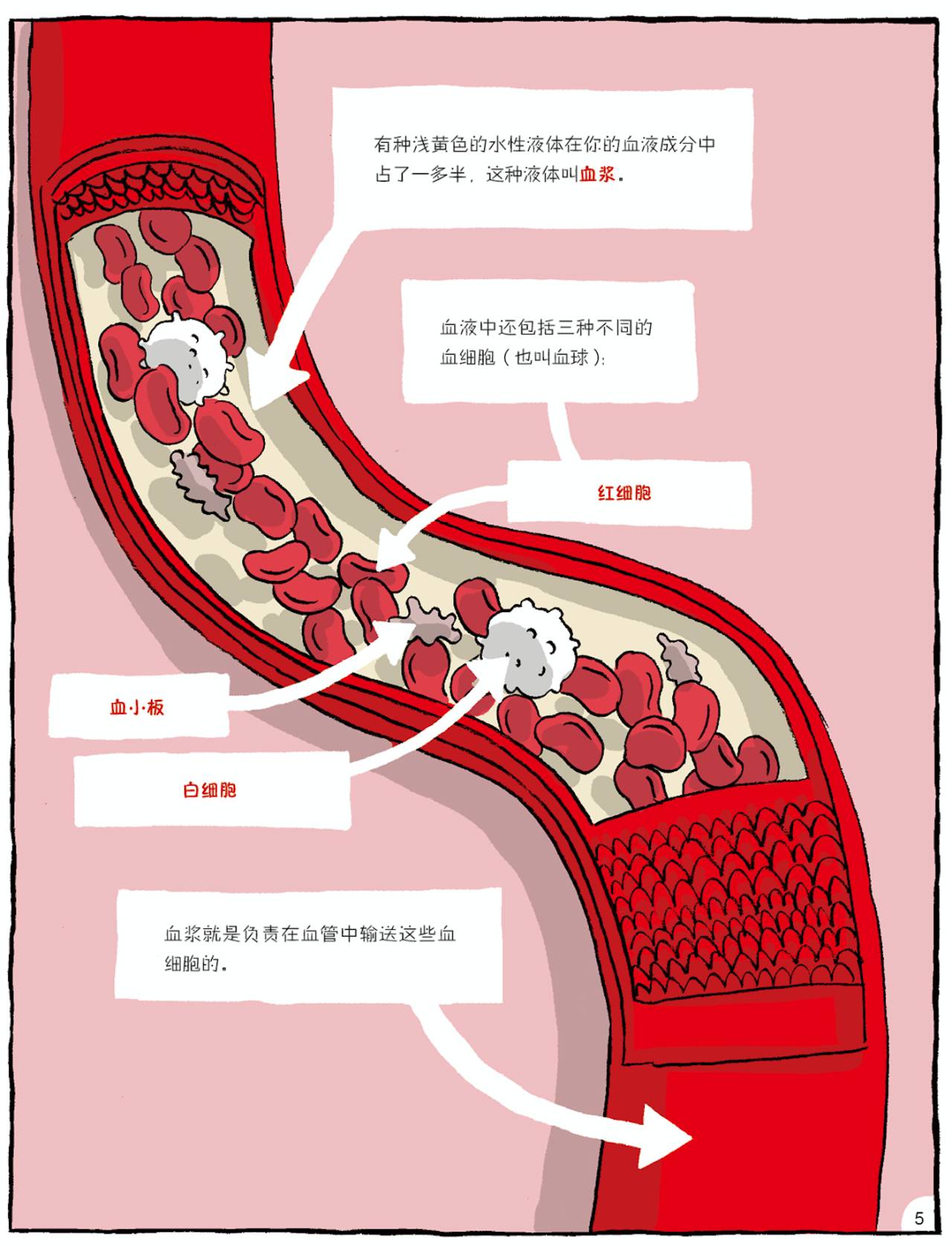 cellmaker_cellmaker_cellmaker