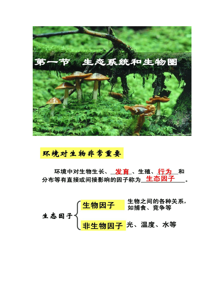 意思是谁发现的_意思是不是轻声词_ecosystem是什么意思