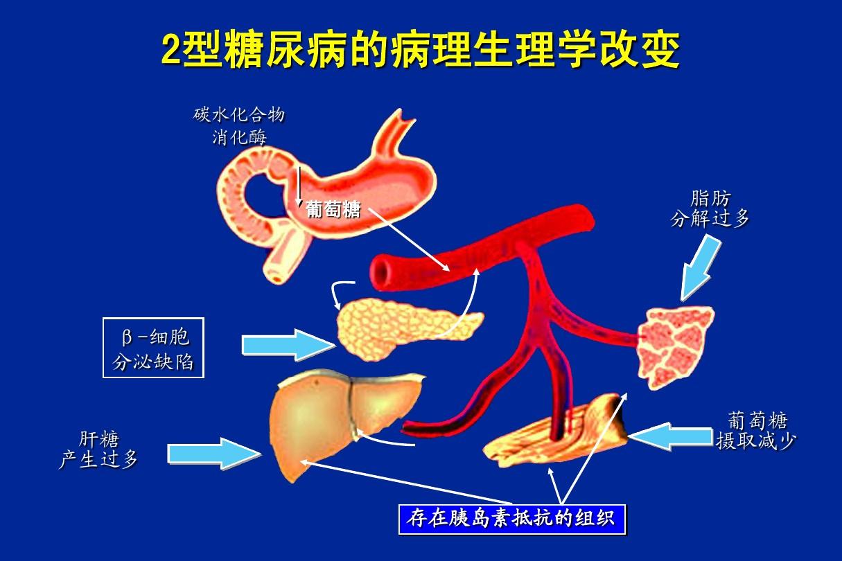 血液疾病症状_血液疾病症状_血液症状疾病都有哪些