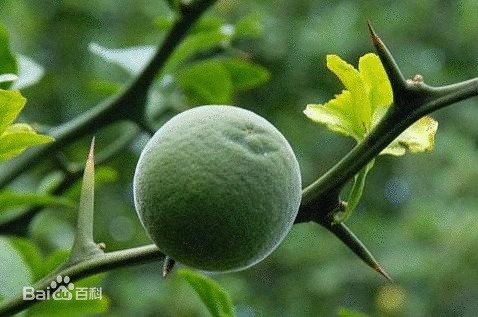 胃炎胃溃疡的中医治疗_胃中医治疗胃炎溃疡的方剂_中医治疗胃溃疡效果好吗