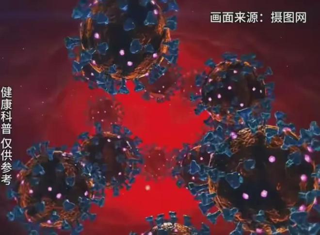 病毒专杀工具安卓版下载_help decrypt病毒专杀_病毒专杀工具包