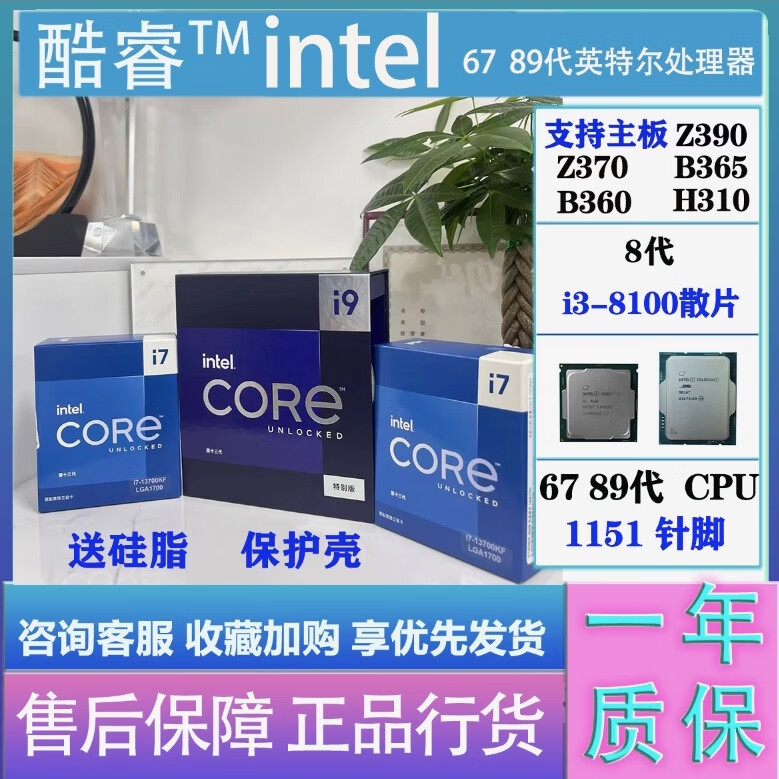 位装者_位装者演员表_i38100装64位还是32位