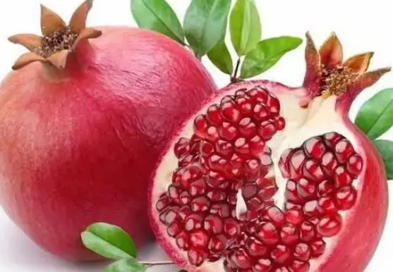 胃不好可以吃蔬菜水果吗_胃病能吃什么水果蔬菜_蔬菜能水果胃病吃吗