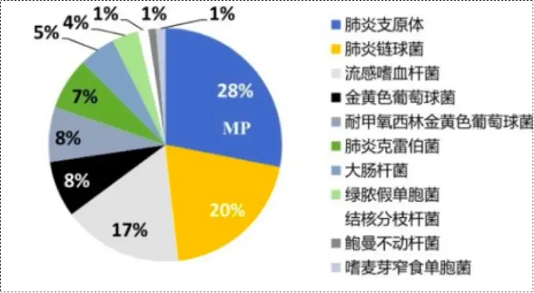 北京儿童医院治疗肺炎费用_北京治疗儿童肺炎的医院_北京儿童医院肺炎合剂管用吗