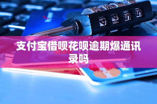 支付宝控件安装不上_支付宝软件安装_支付宝安装程序